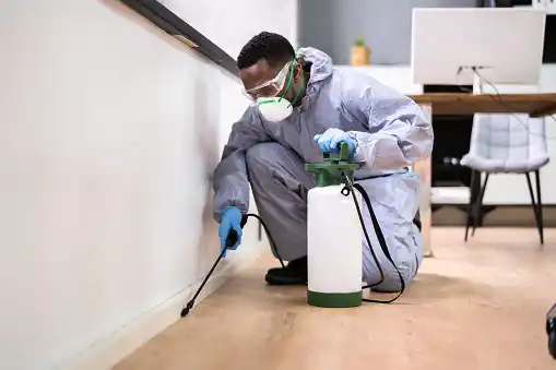 pest control Mira Mesa